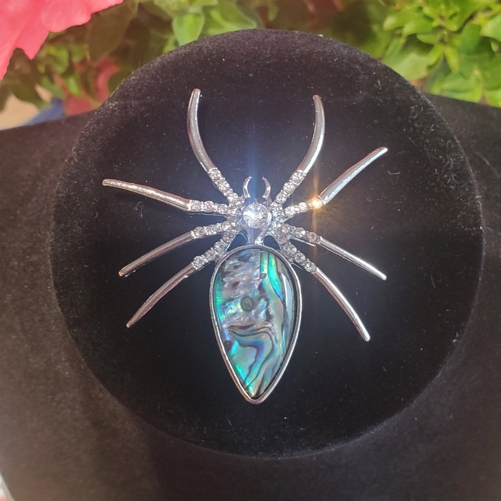 Never worn Spider brooch!